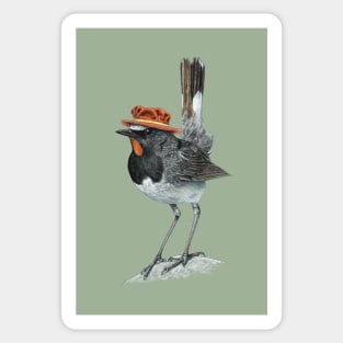 Himalayan rubythroat Sticker